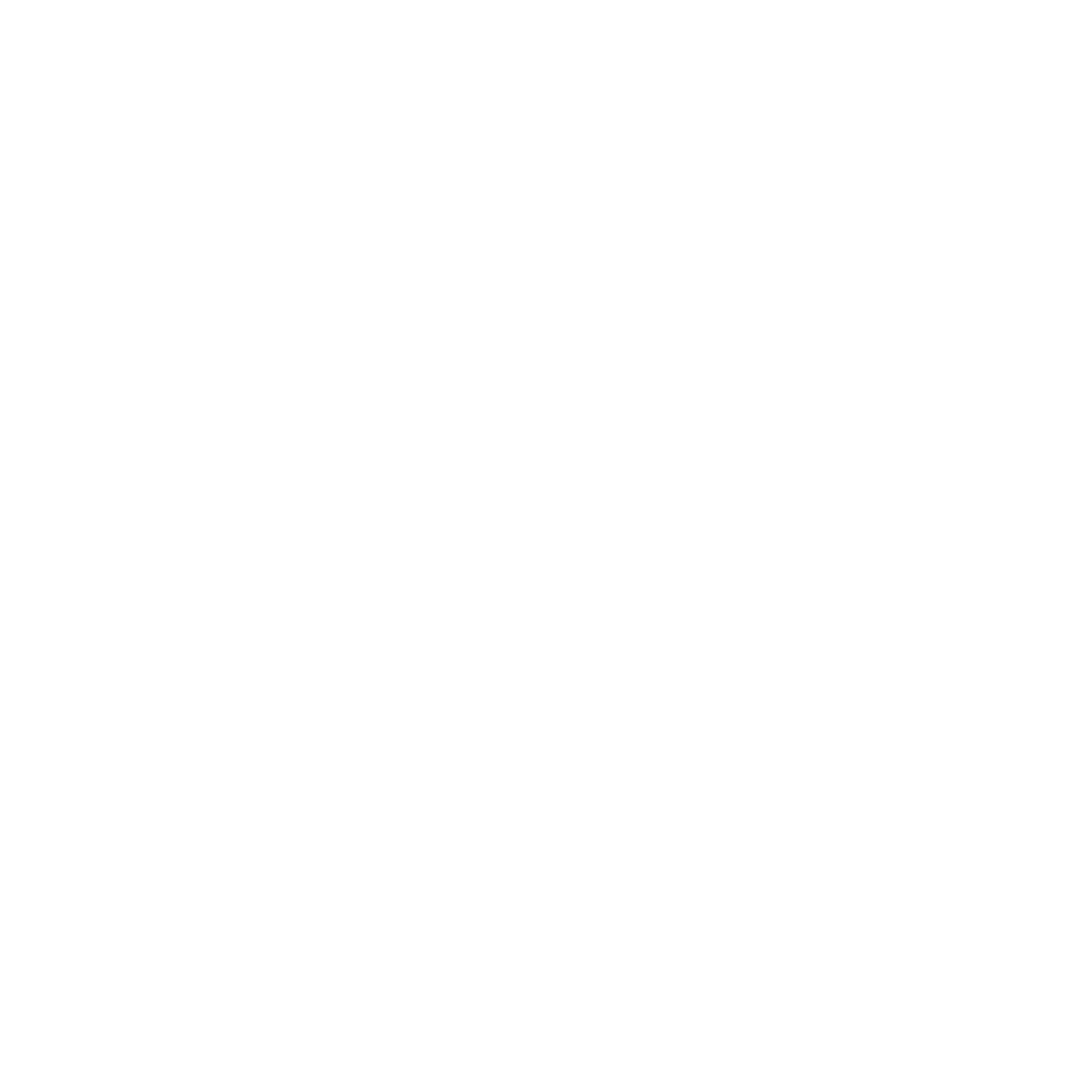 Software & Web Development